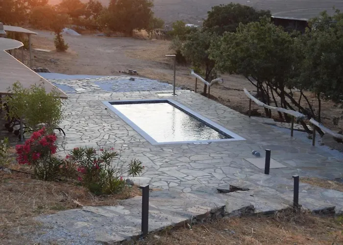 Petra Vista Retreats